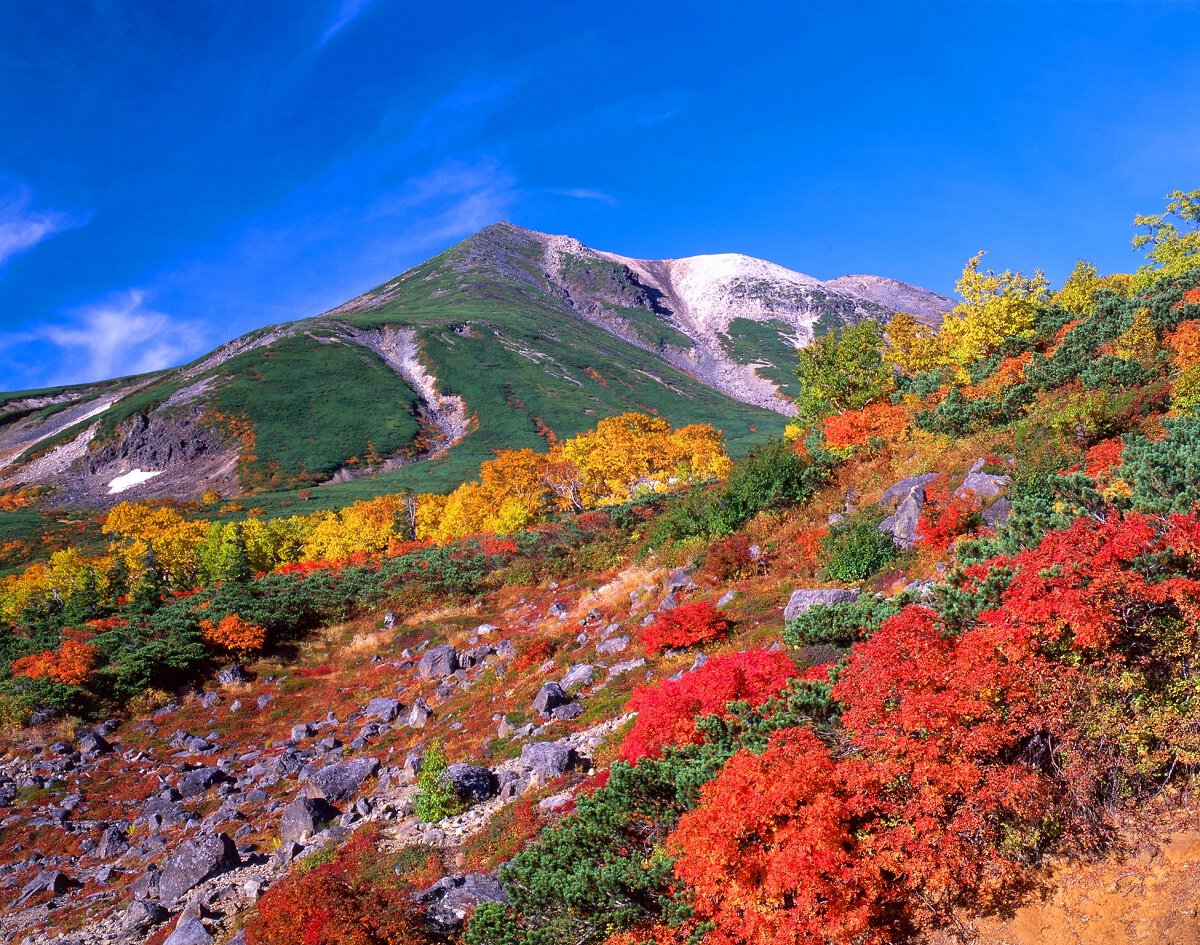 2025乗鞍紅葉サイクリングツアー - BIKE RANCH - バイクランチ -